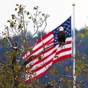 Meet your Posher, Tom